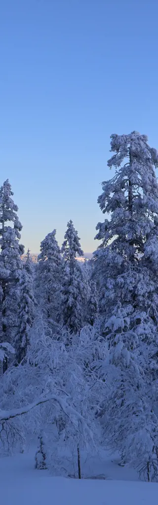 Finnisch-Lappland – eine Woche Wintermärchen am Polarkreis – Blockhütte als Homebase